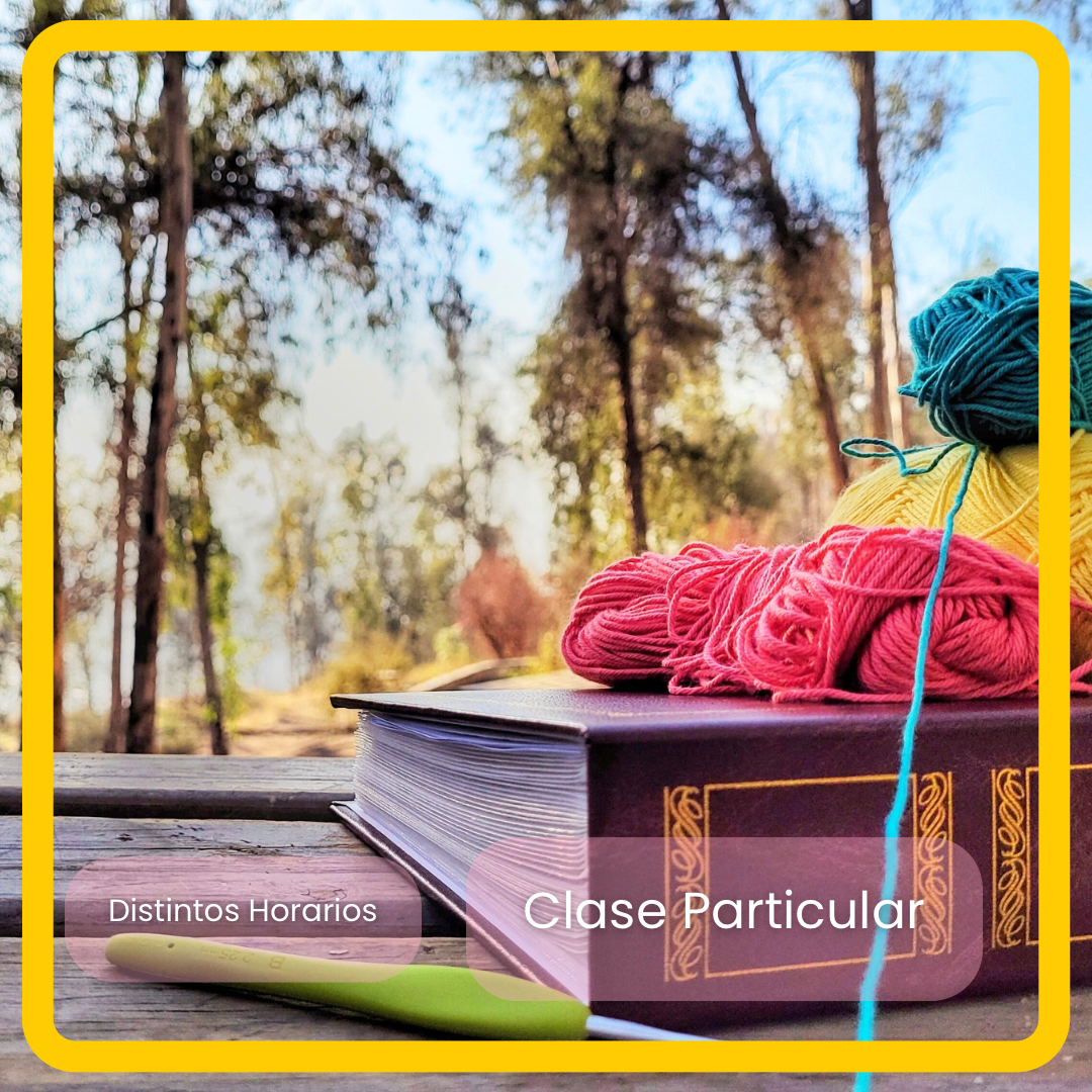 Clase particular - Crochet, Palillo o Amigurumi