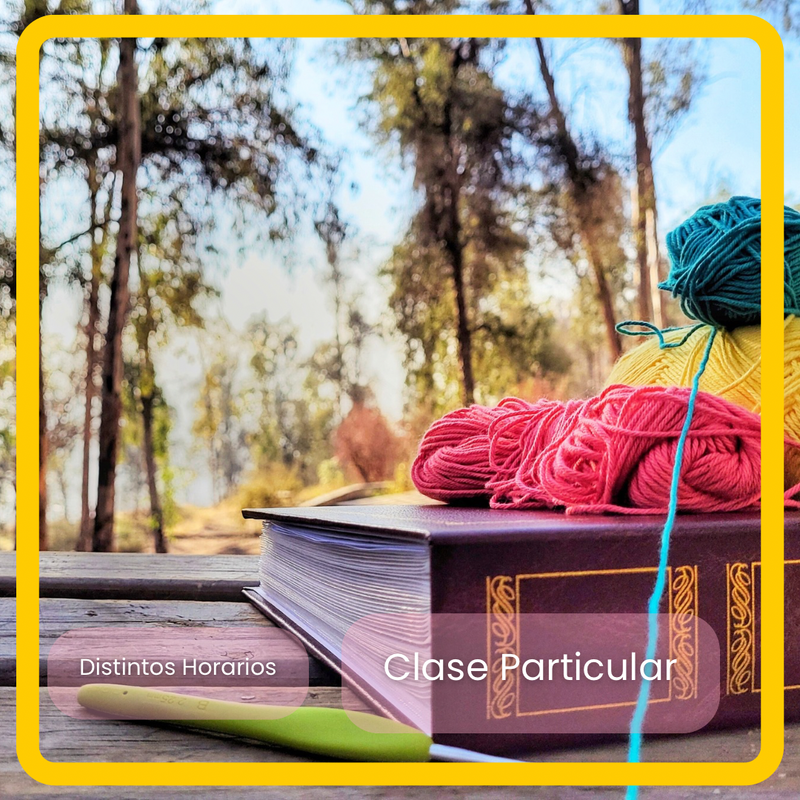 Clase particular - Crochet, Palillo o Amigurumi